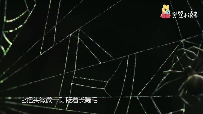 樊登小读者： 蜘蛛，百度网盘